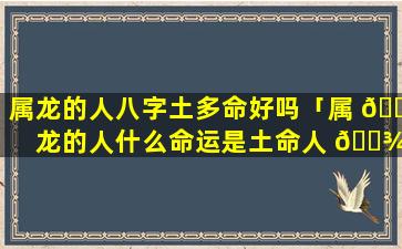 属龙的人八字土多命好吗「属 🐈 龙的人什么命运是土命人 🌾 吗」